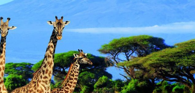 Kenya