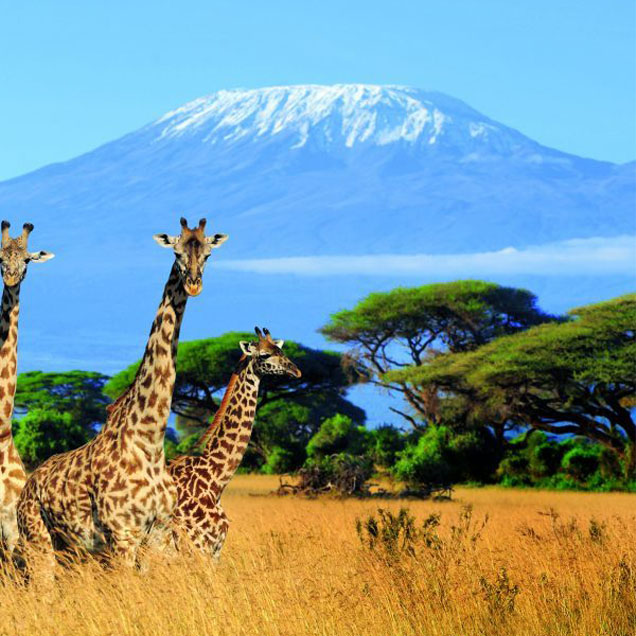 Kenya
